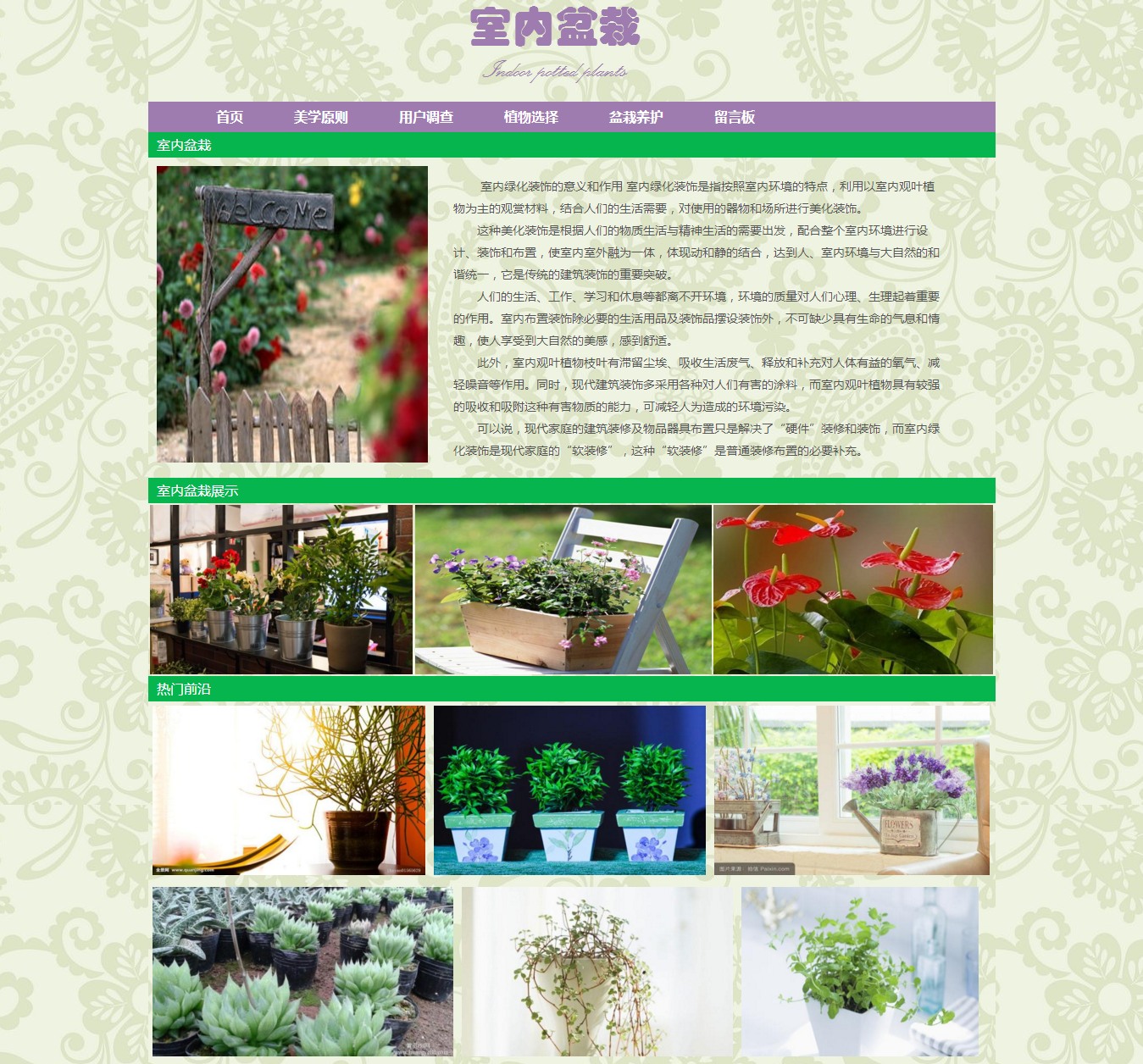 编号：820 室内盆栽 6页 留言表单 CSS布局 30元