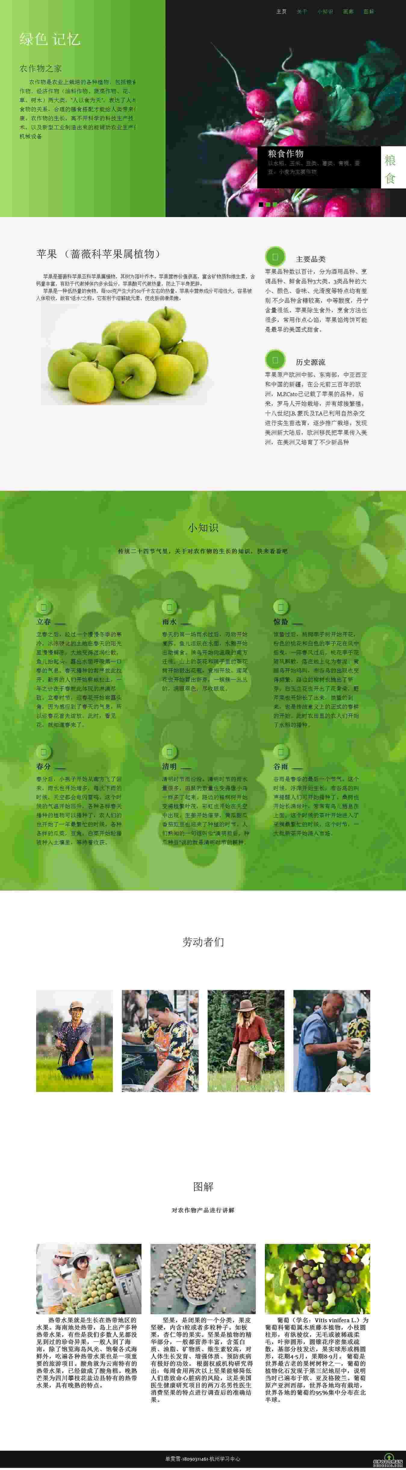编号：1115 绿色记忆 5页 选项菜单 HTML5 CSS布局 40元