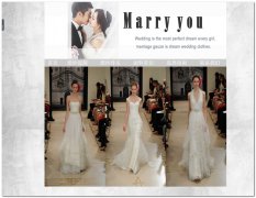 编号：031 Wedding dress 6页面 带锚文本连接 带留言表单 鼠标经过图片特效 表格加css布局 40元
