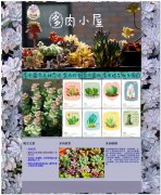 编号：040多肉植物 6页面 有gif动态图 有留言表单 鼠标经过图片变换特效 css加表格布局