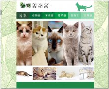 编号：069猫猫漂亮 6页面 有滚动flash 有鼠标经过图片变换的特效 css加表格布局