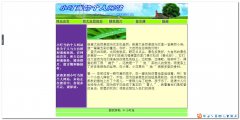 编号：141个人主环保 5页面表格布局