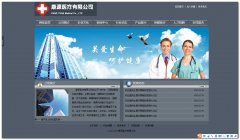 编号：170医疗 1页面css布局
