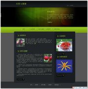 编号：224水果网页 6页面css布局