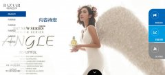编号：380芭莎摄影 图片切换 音乐 表单 4页 css布局