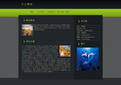 编号：401 个人主页 有视频 8页 css布局