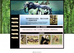 编号：413 关爱动物 图片滚动 图片切换 音乐 表单 带设计报告 7页 css布局