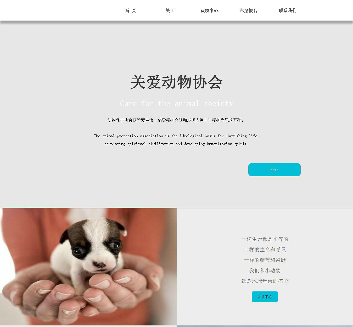 编号：414 关爱动物协会 有flash 表单 13页 css布局