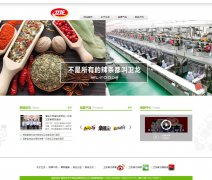编号：544 卫龙辣条 表单 4页 css布局