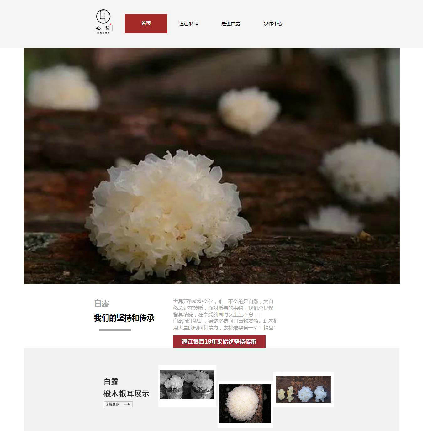 编号：665 银耳企业网站 4页 鼠标经过特效 Flash 带PSD 有报告 CSS布局 60元
