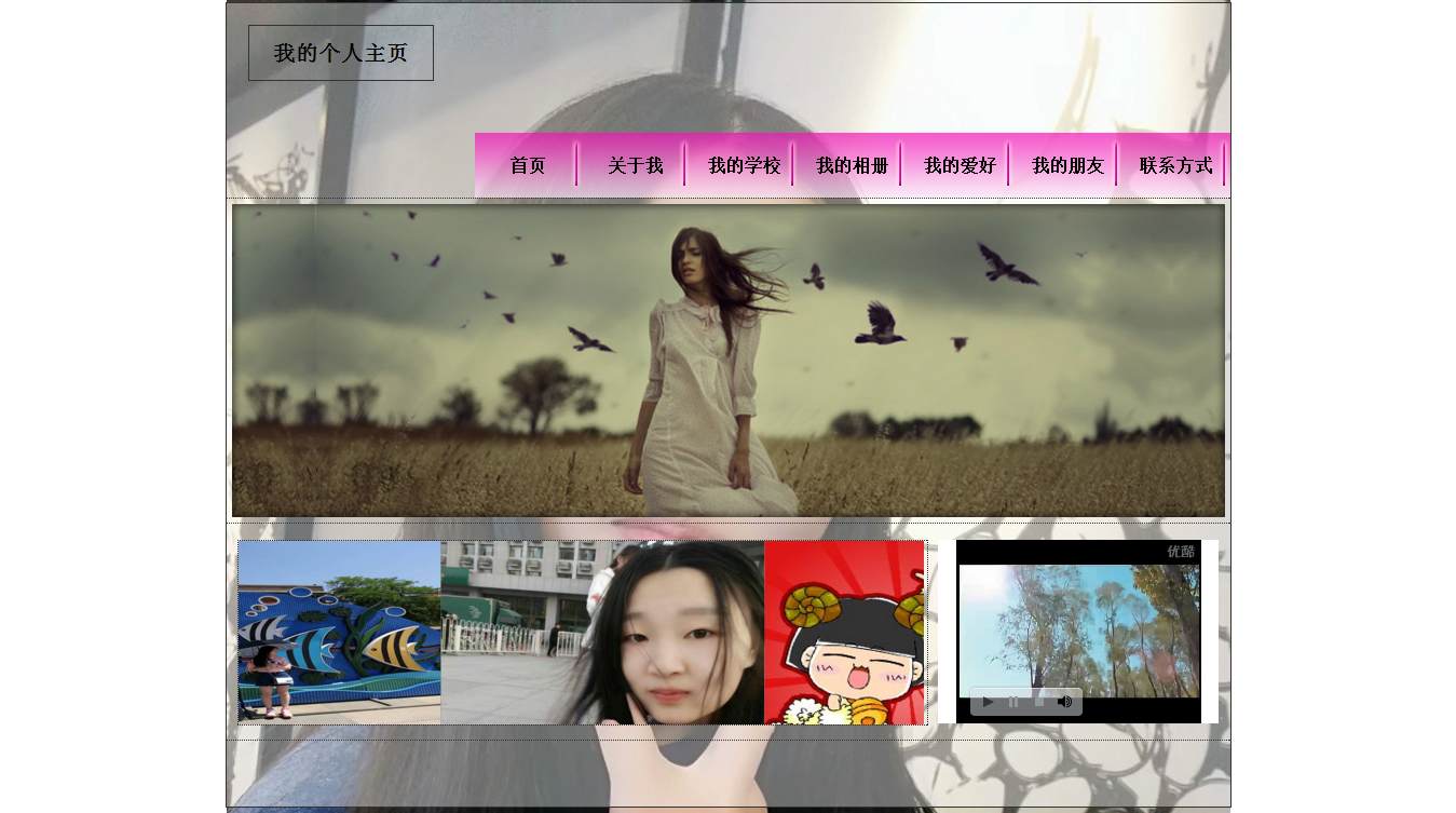 编号：704 个人网页 20页 有视频 图片滚动 鼠标经过特效 留言表单 Flash CSS布局 60元