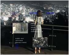 编号：763 个人网页 3页 CSS布局 30元