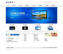编号：828 SONY网站 1页 有PSD CSS布局 30元