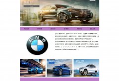 编号：882 宝马汽车 6页 登录注册表单 CSS布局 30元