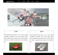 编号：935 鞋子网站 5页 图片切换 留言表单 css布局 30元