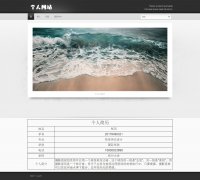 编号：949 个人网页 4页 css布局 30元