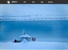 编号：1054 保护西藏资源 3个页面  CSS布局 30元