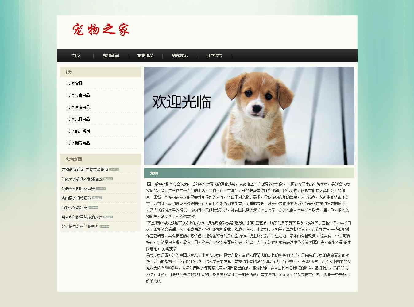 编号：1294 宠物之家 5页 文字滚动 FLASH 留言表单 有报告 CSS布局 40元