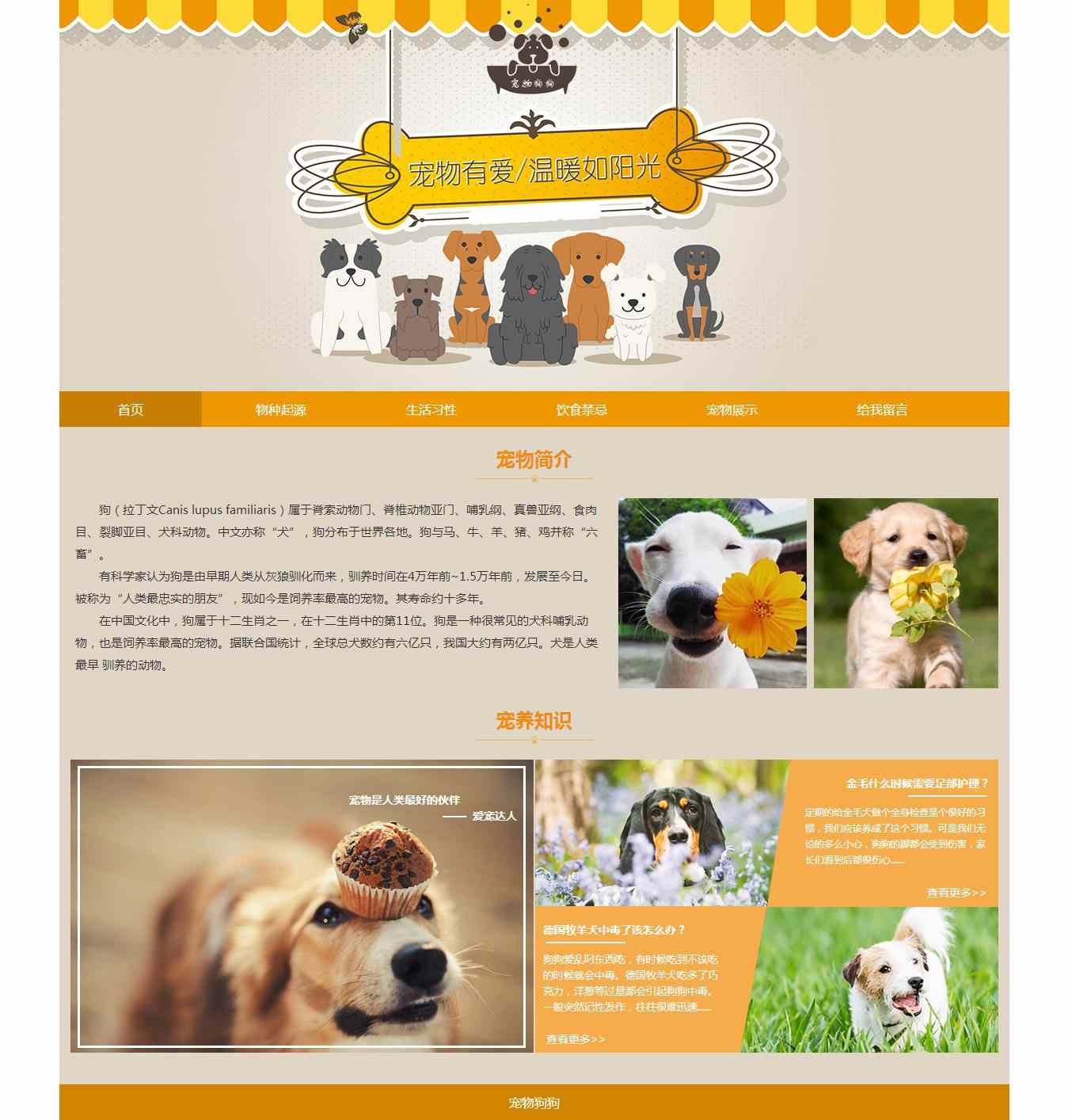 编号：1289 宠物网站 6页 留言表单 CSS布局 40元