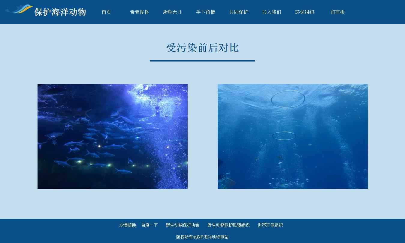 编号：1250 海洋保护网站 8页 图片切换 留言表单 鼠标经过特效 CSS布局 60元