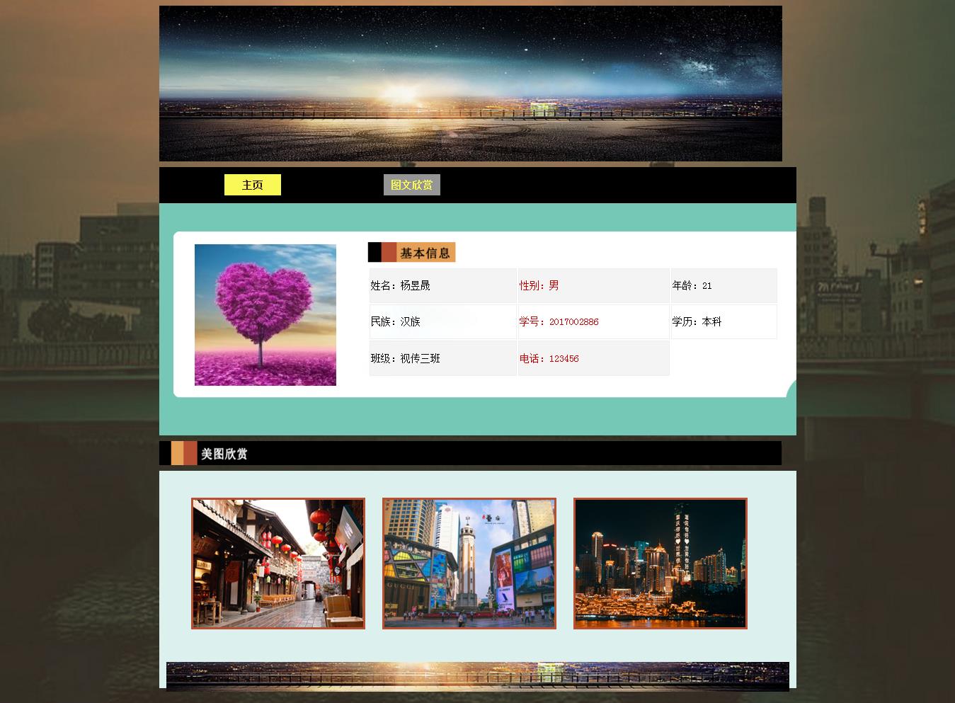 编号：1337 个人网页 2页 CSS布局 20元