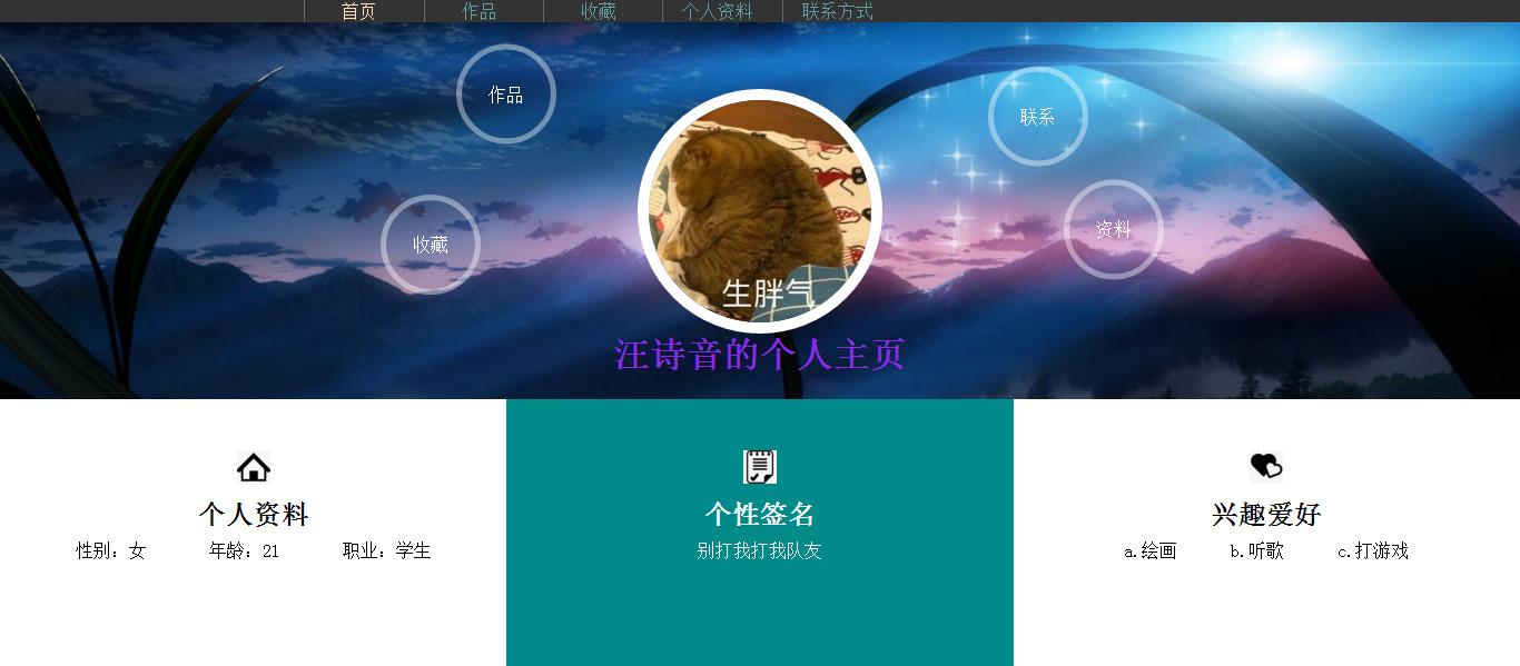 编号：1341 个人网页 5页 鼠标经过特效 留言表单 HTML5 CSS布局 40元