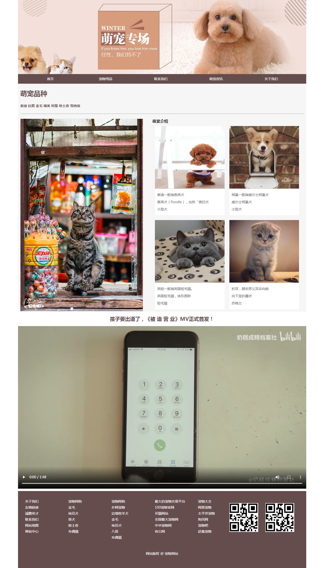 编号：2026 宠物猫 商城 5页 音乐 视频 三级页面 css布局 20元